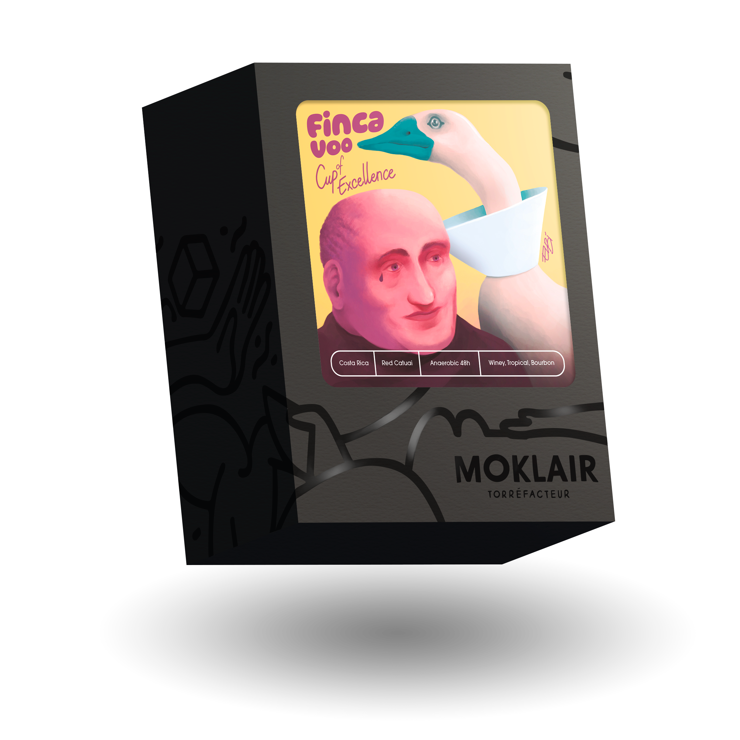 moklair2025-mockup-fincavoo1