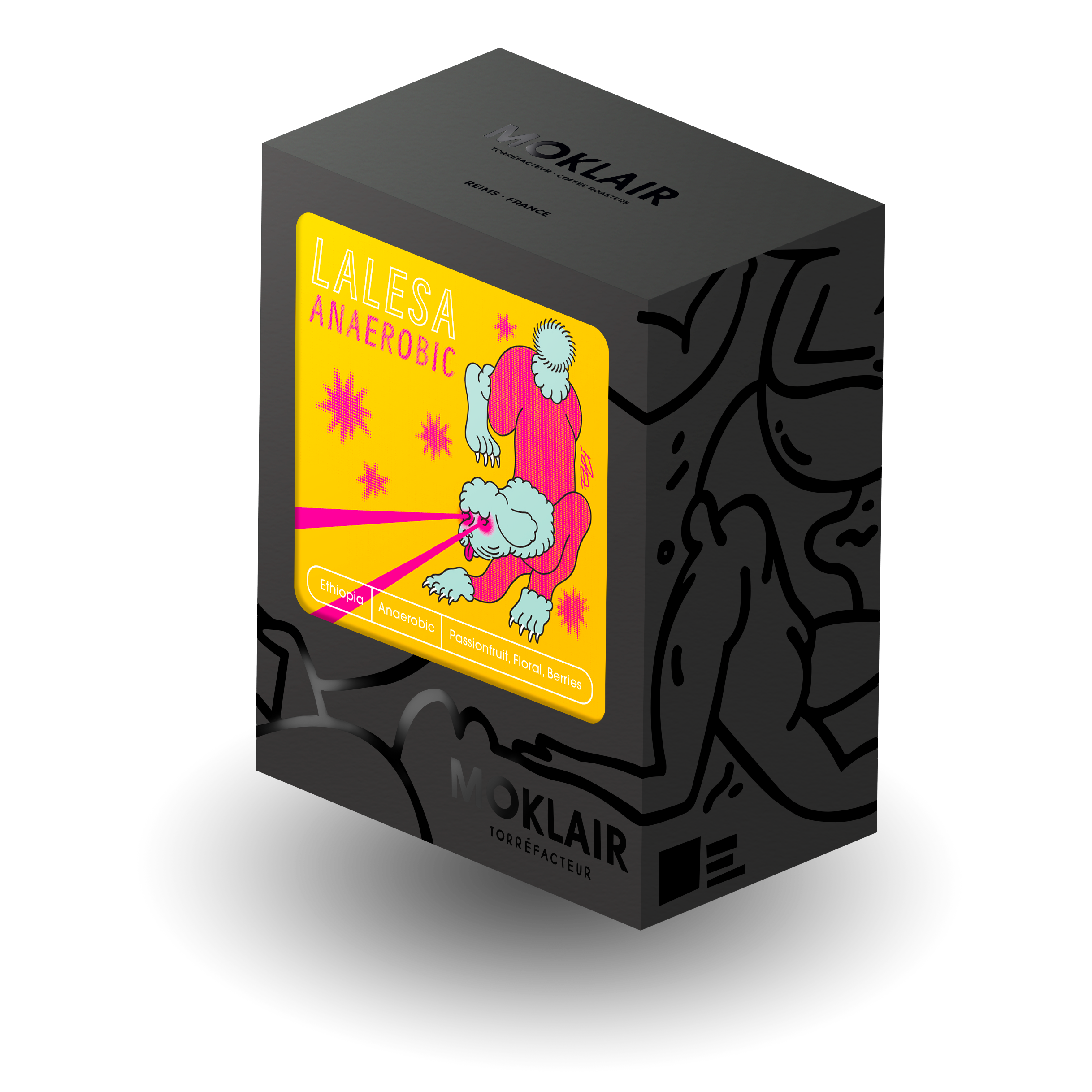moklair2025-mockup-lalesaanaerobic2